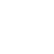 Icon für Sicherheit